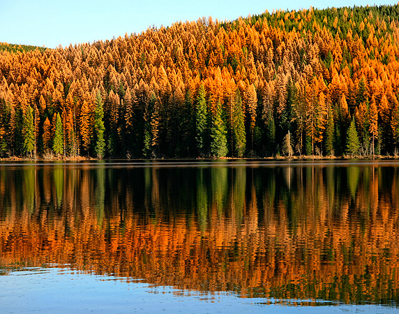 WebThomas Lake Western Larch-3814 14x11
