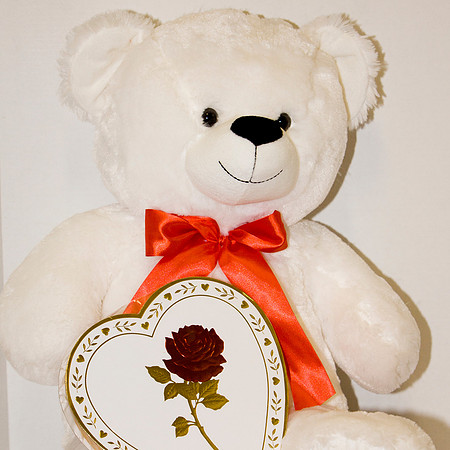 Valentine's Day Teddy and Candy 2016-1131