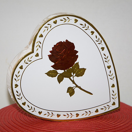 Valentine's Day 2016-1118