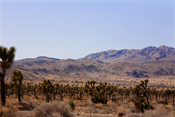 _MG_4983a