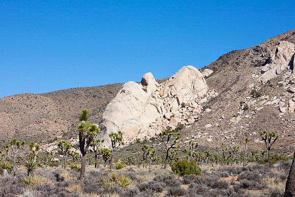 _MG_4979a