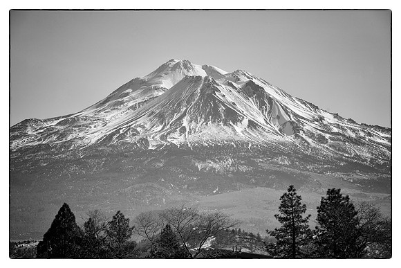 _MG_4809bw