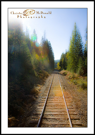 Ione Train Tracks