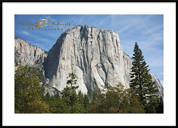 Yosemite National Park