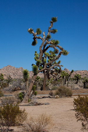 _MG_4922a