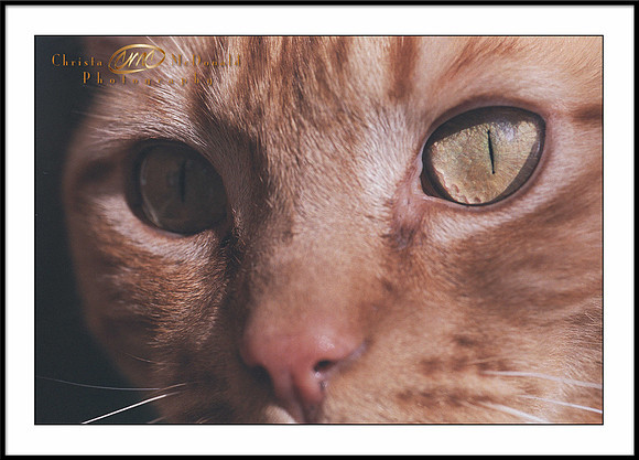 Flash eyes matted